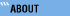 About company 'Derstein Data Recovery Center'